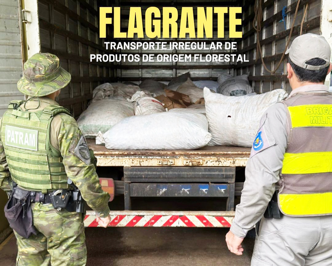Capa Brigada Militar apreende duas toneladas de pinhão transportadas de forma irregular em Iraí