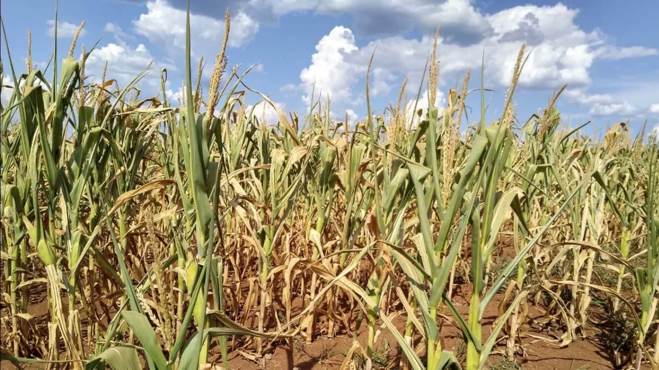 Capa Sobe para 99 os municípios em situação de emergência no RS