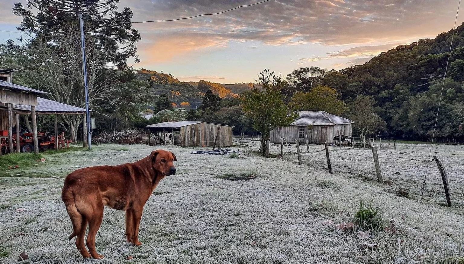 Capa Frio aumenta ainda mais e domingo começa com marcas congelantes na região