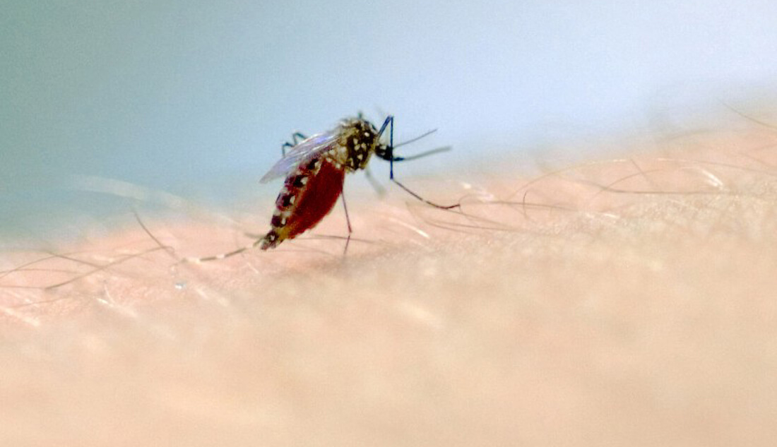 Capa Registrada terceira morte de criança no RS, em função da dengue
