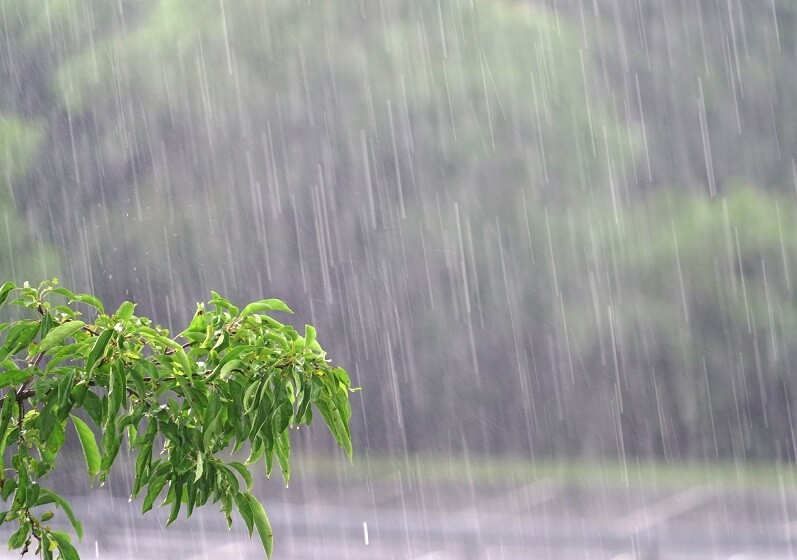 Capa Semana começa com chuva na região