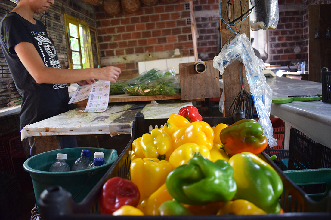 Capa Feira Orgânica da UFSM/FW completa seis anos de fortalecimento de vínculos entre agricultores e comunidade acadêmica