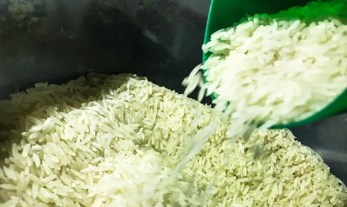 Capa Conab diz que não haverá desabastecimento de arroz no Brasil