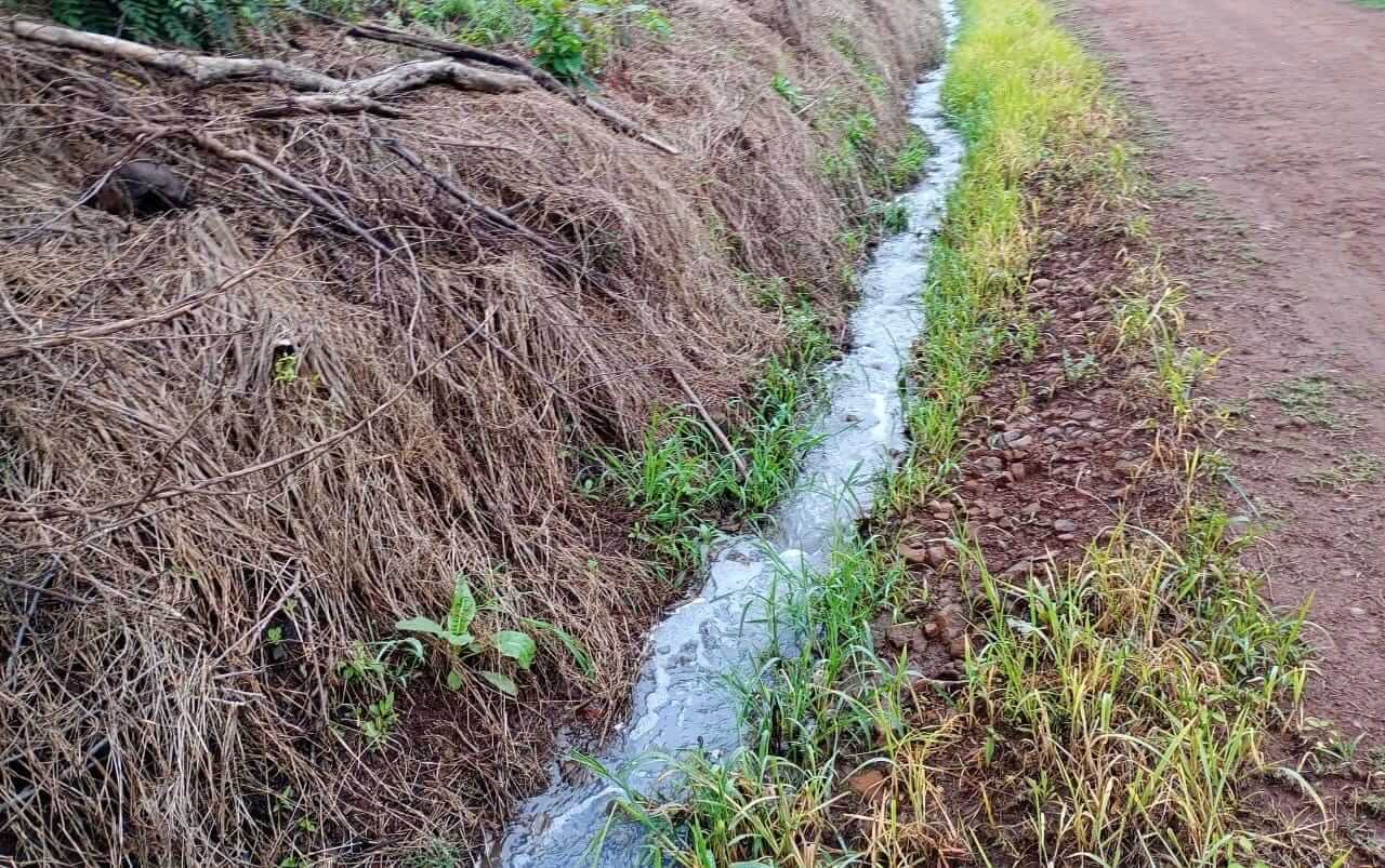 Capa Operação Força Verde prende suspeito de crime ambiental em Esperança do Sul