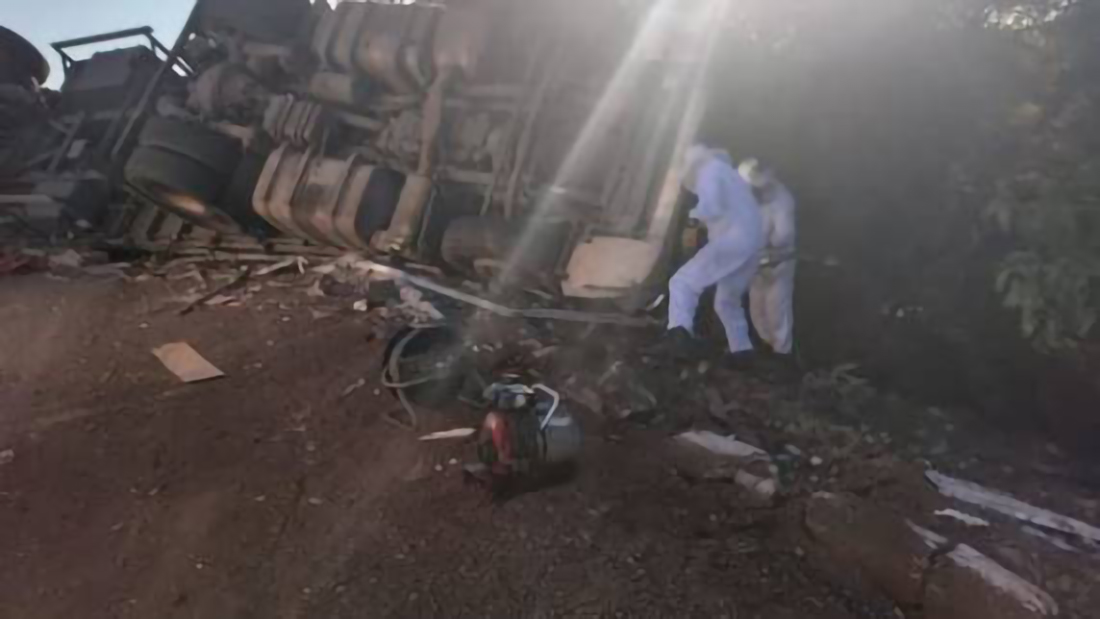 Capa Caminhoneiro argentino é resgatado após tombamento e ataque de abelhas na BR-285