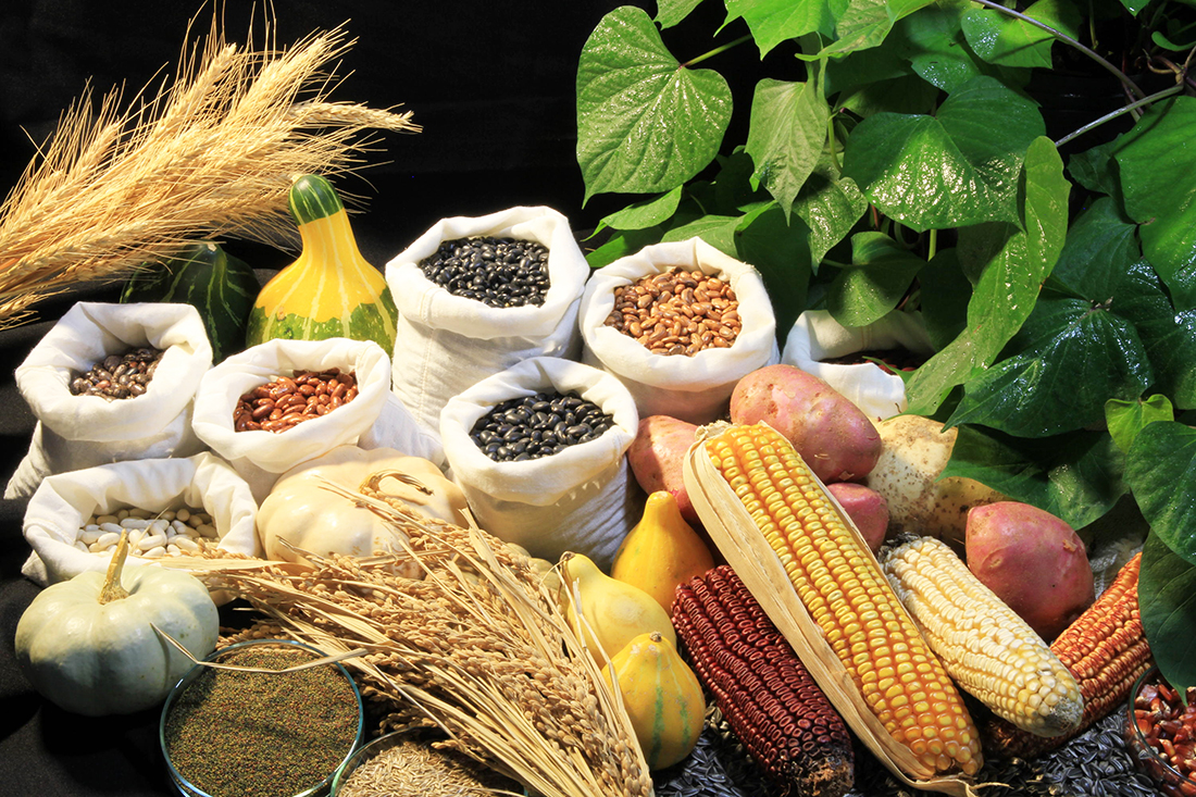 Capa Conab capacita agricultores familiares sobre aquisição e distribuição de sementes pelo PAA