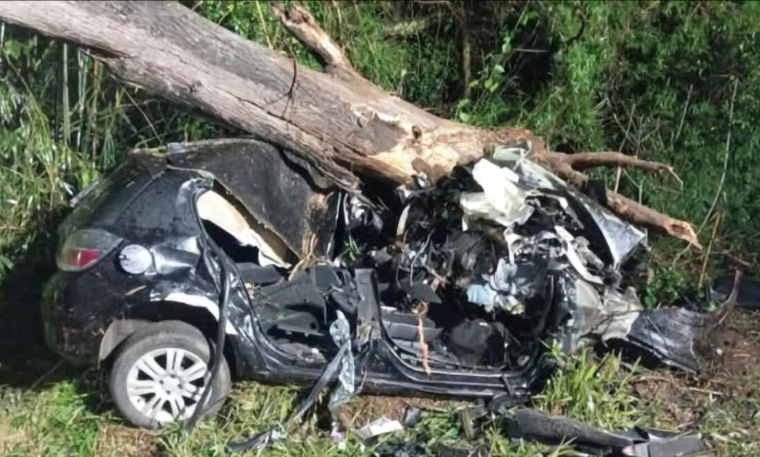 Capa Colisão violenta contra árvore deixa dois mortos na rodovia ERS-130