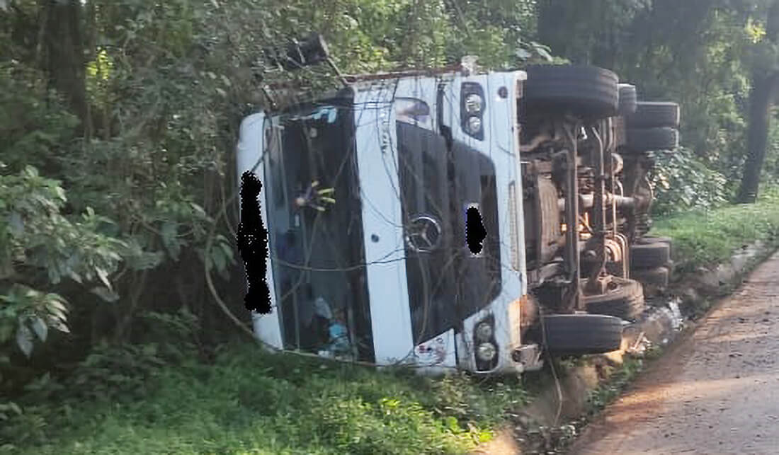 Capa Porcos morrem após caminhão capotar no Oeste de Santa Catarina