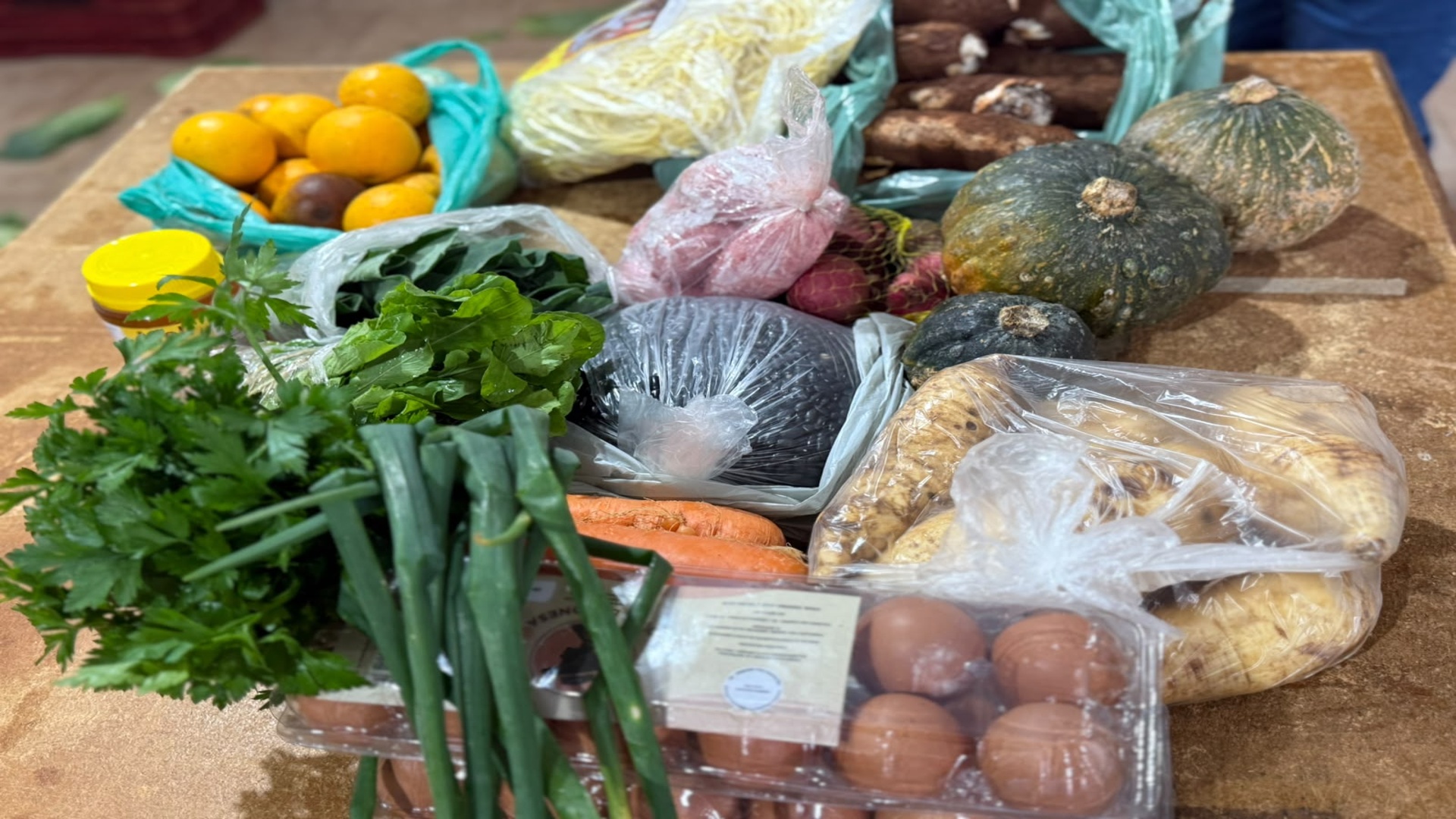 Capa Programa de Aquisição de Alimentos beneficia famílias e fortalece agricultura familiar em Palmeira das Missões