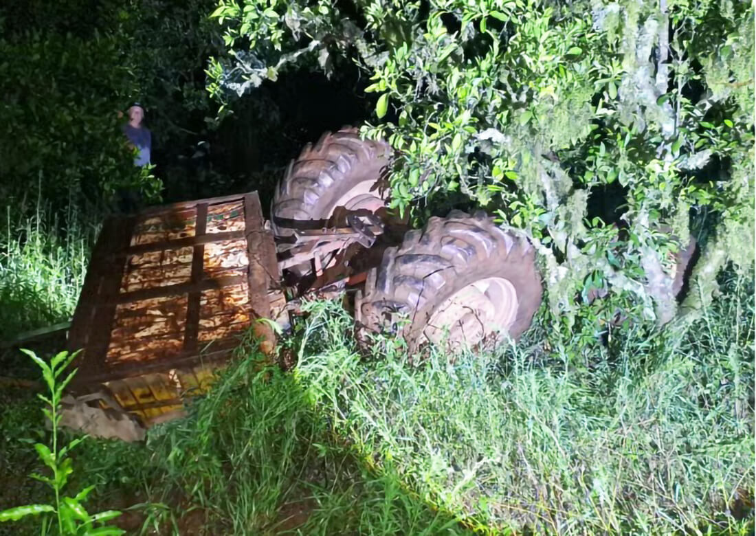 Capa Bombeiros encontram homem morto após atendimento a ataque de abelhas na Serra Gaúcha