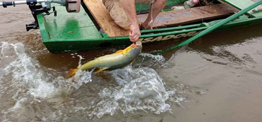 Capa Pescador é flagrado com equipamento ilegal no Rio Uruguai