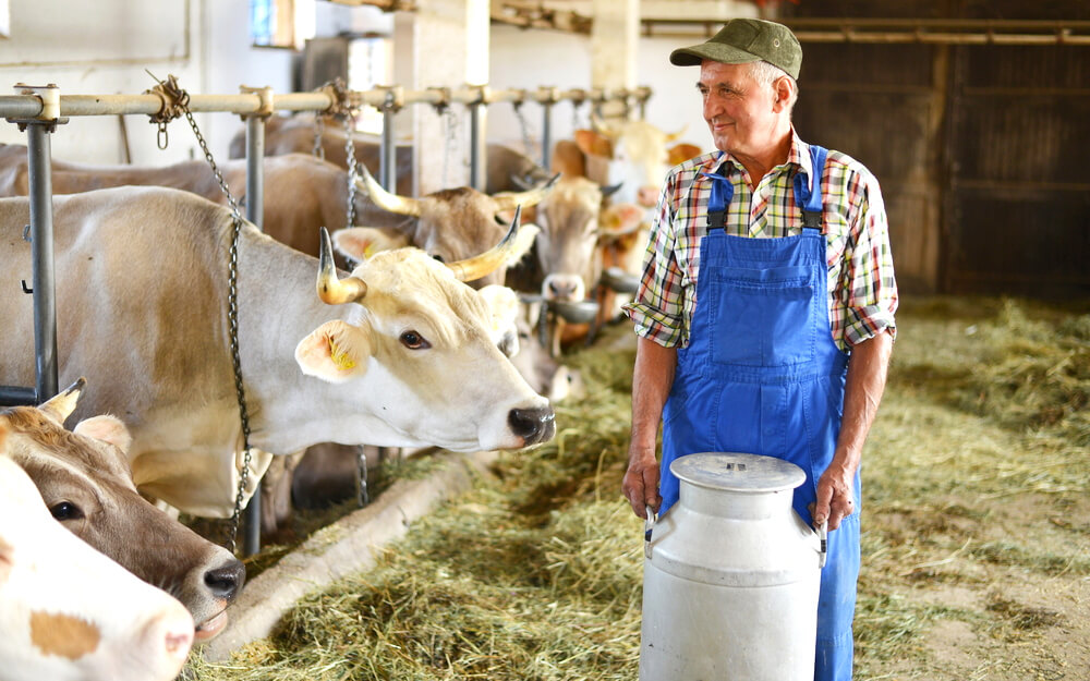 Capa Produtores rurais ganham mais prazo para emitir o Cadastro da Agricultura Familiar