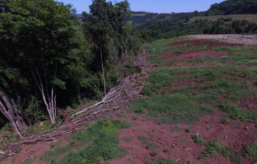 Capa Batalhão Ambiental da Brigada Militar flagra destruição de vegetação nativa no interior de Constantina