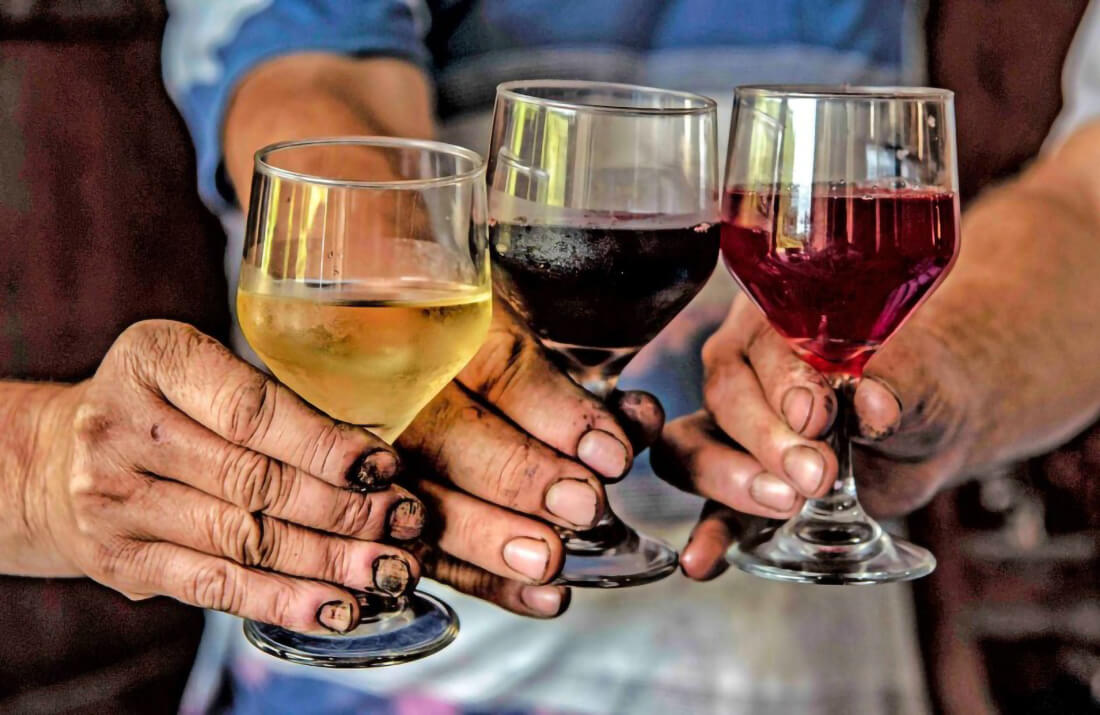 Capa Rio Grande do Sul celebra Dia do Vinho com safra recorde e R$ 44,3 milhões para fortalecer o setor
