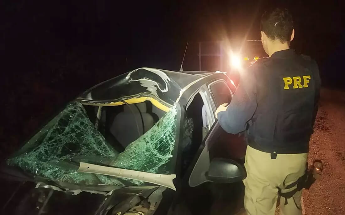 Capa Motorista fica gravemente ferido após atropelar cavalo