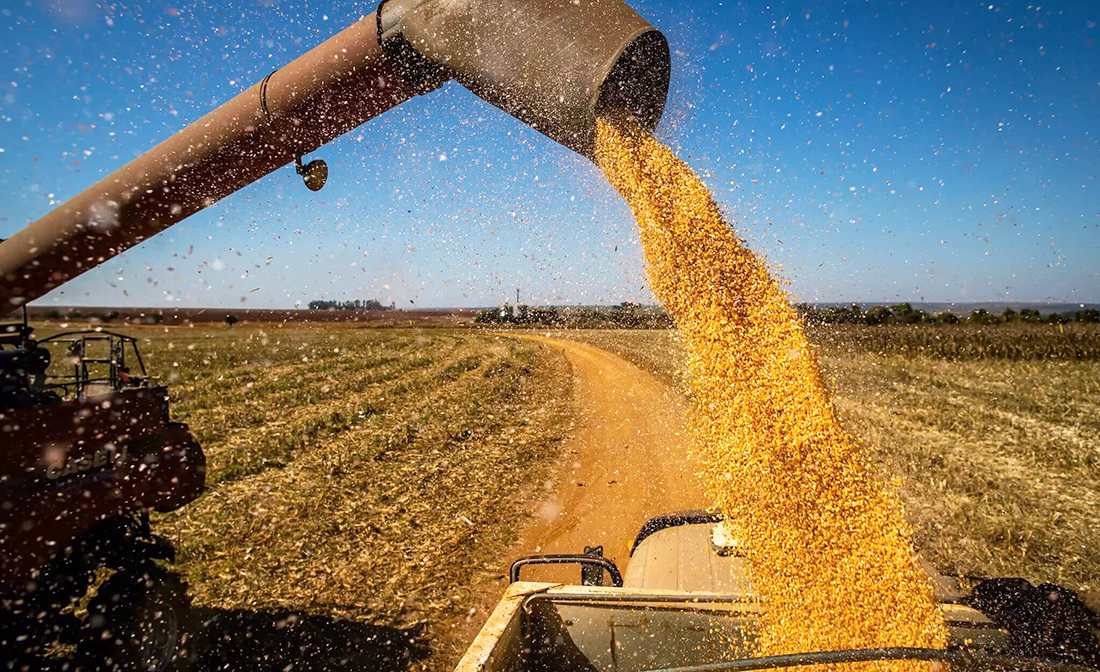 Capa Agronegócio gaúcho registra alta de 13,1% nas exportações em julho