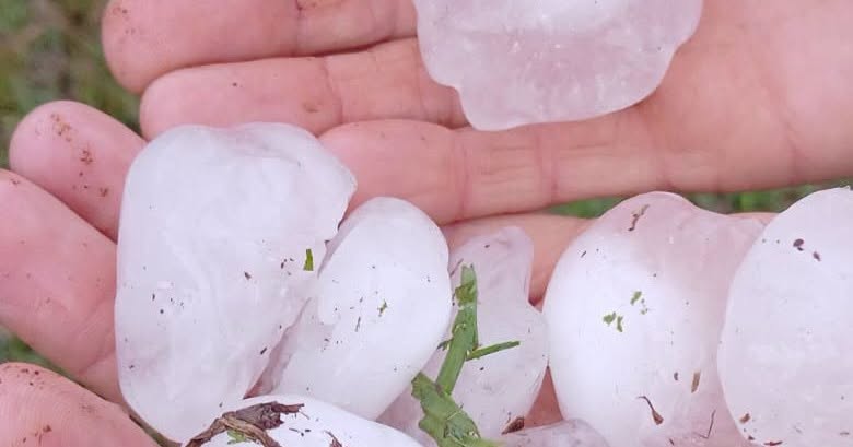 Capa Chuva forte danifica escola e faz Gramado dos Loureiros suspender aulas na rede municipal