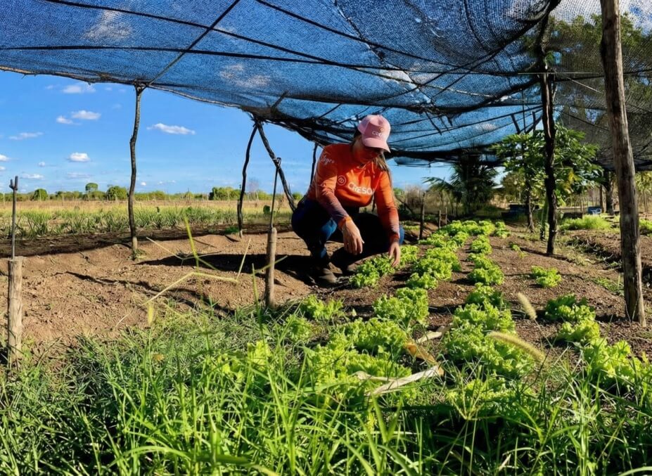 Capa Financiamento da Cresol facilita investimentos em saneamento e iniciativas sustentáveis