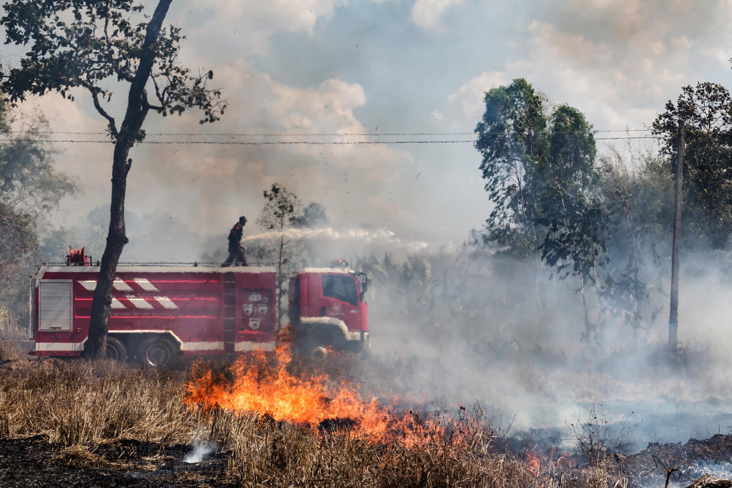 Capa Governo divulga planejamento para enfrentar incêndios em 2026