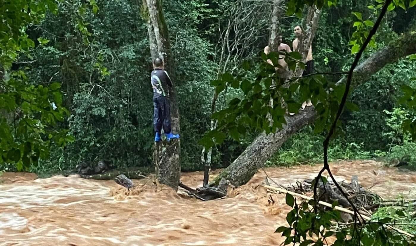 Capa Pescadores ficam ilhados em cima de árvore após rio transbordar em Seberi
