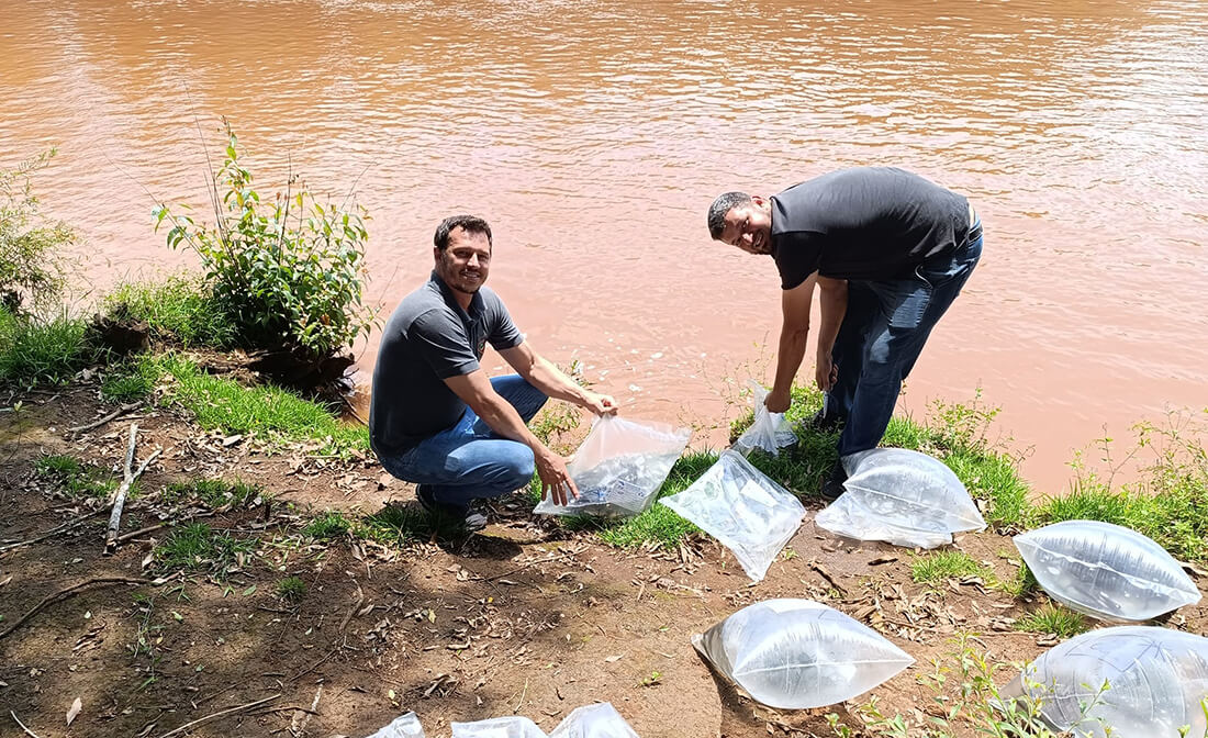 Capa Rio Guarita recebe mais de 5 mil alevinos em ação realizada pela prefeitura de Vista Gaúcha