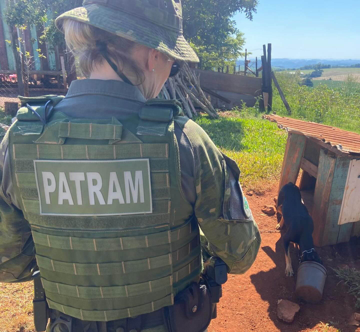 Capa Brigada Militar prende homem por maus-tratos a animais em Seberi