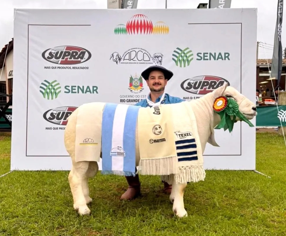 Capa Cabanha Bonfanti conquista Grande Campeonato de Machos Texel PO na Expointer e projeta o nome de Boa Vista das Missões