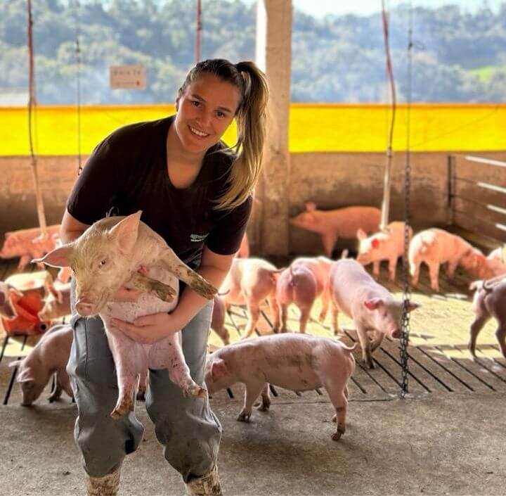 Capa Palmitinho é o maior produtor de suínos do RS