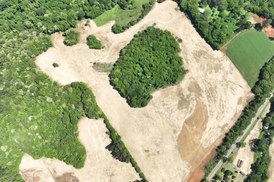 Capa Polícia Ambiental registra desmatamento equivalente a 350 campos de futebol no Norte do RS