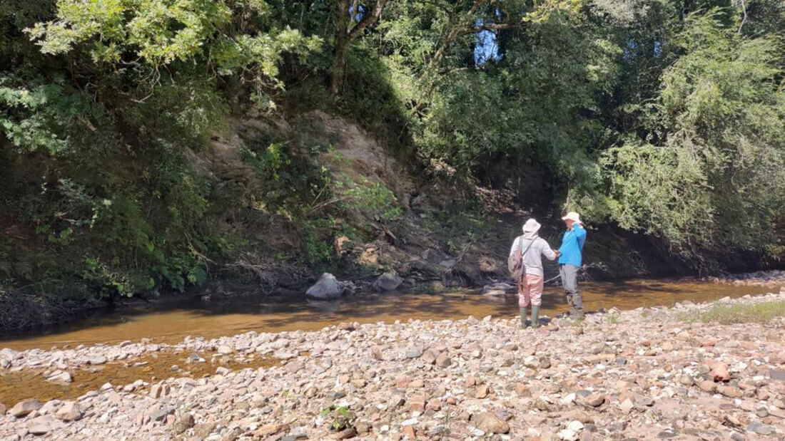 Capa Rio Grande do Sul pode virar referência mundial em terras raras