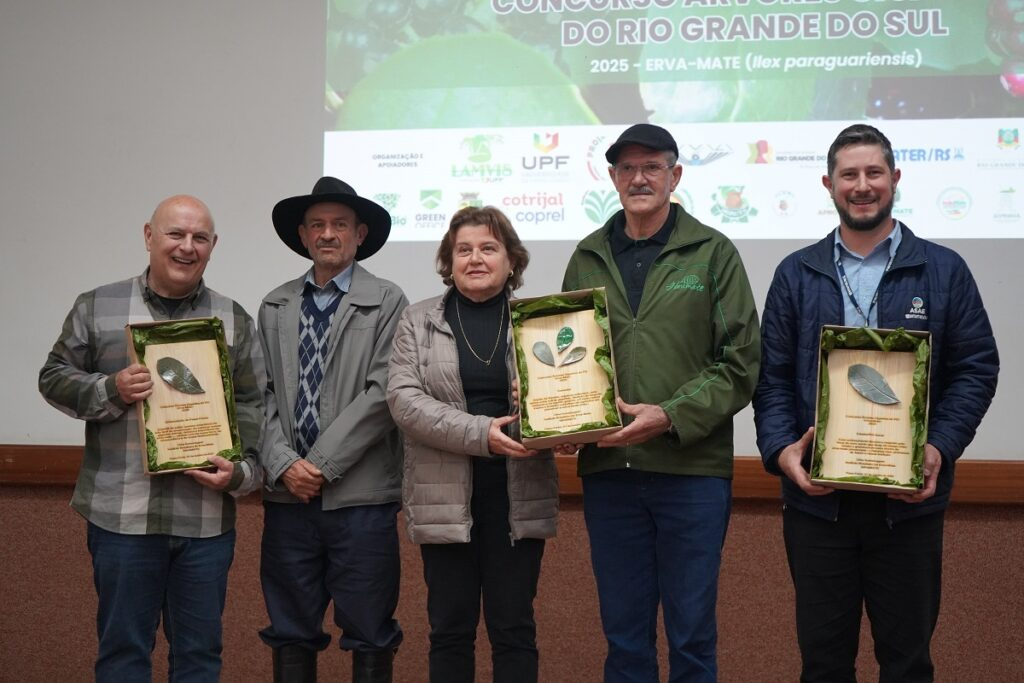 Capa 2.22 metros de diâmetro: Maior árvore de erva-mate do Rio Grande do Sul está em Caseiros