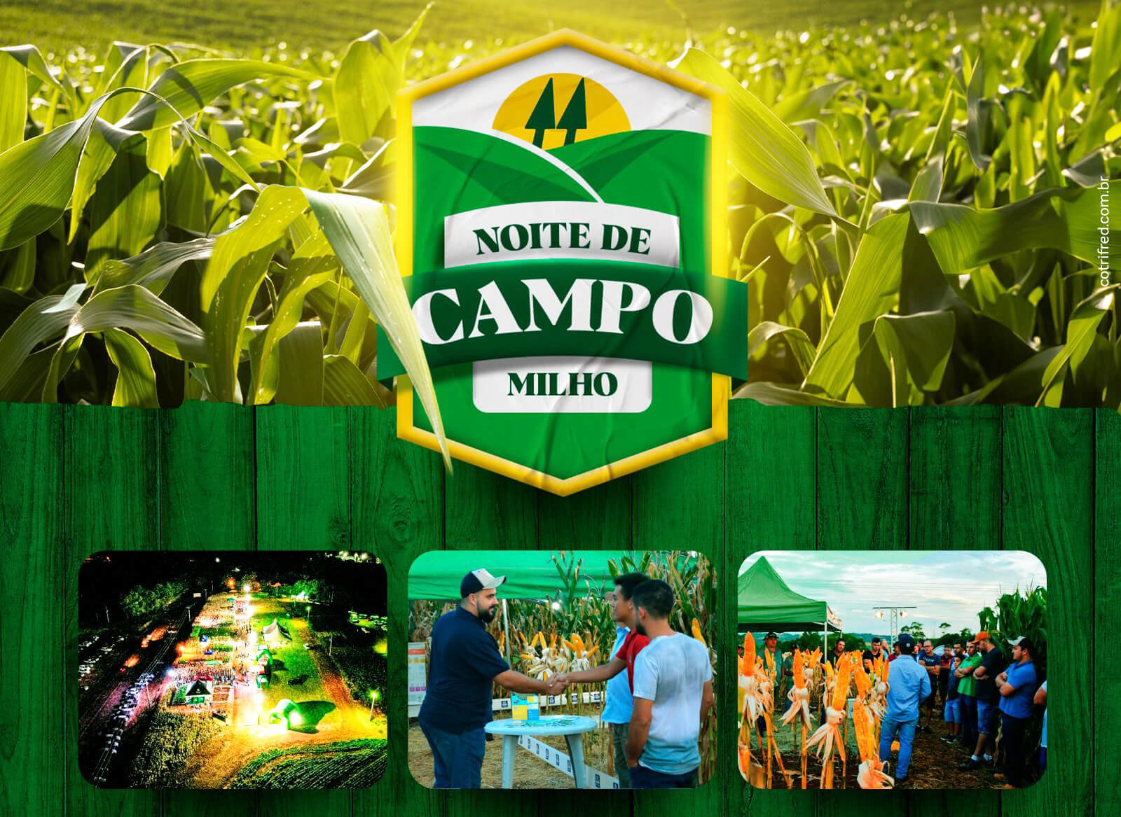 Capa 2ª Noite de Campo de Milho da Cotrifred é transferida para sexta-feira, dia 20