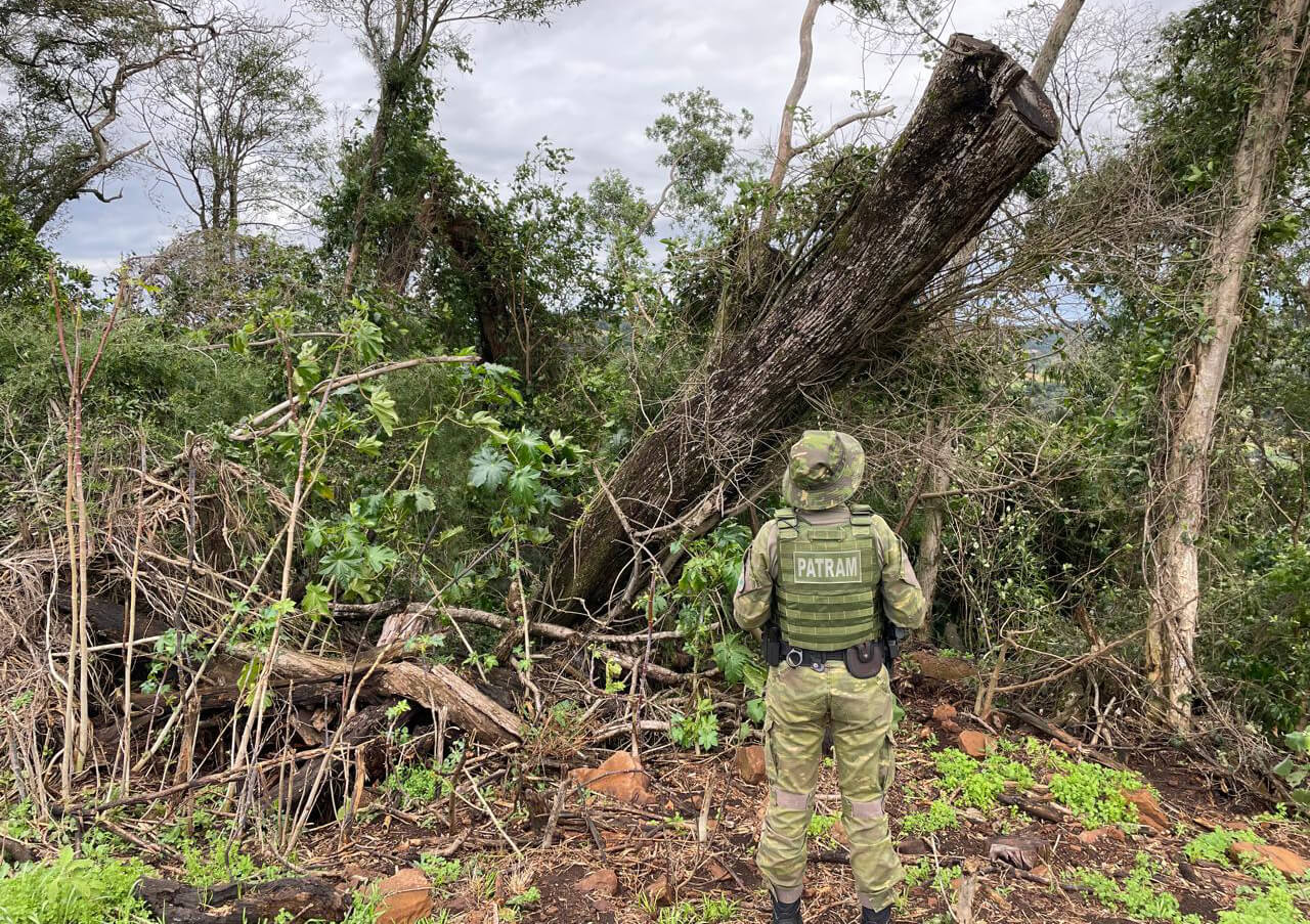 Capa Brigada Ambiental fiscaliza desmatamento em Frederico Westphalen