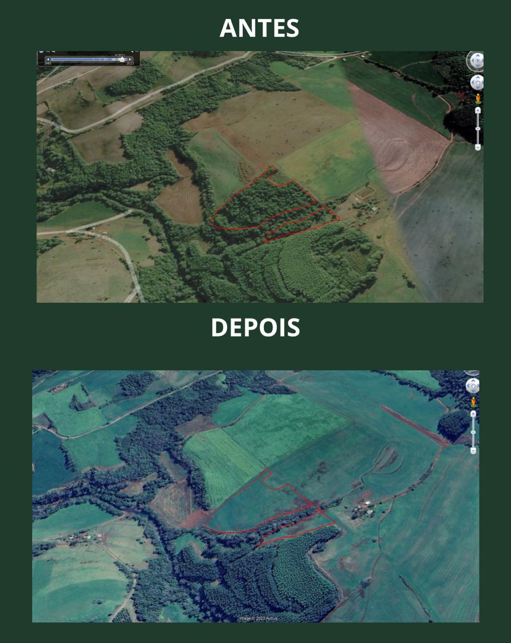 Capa BABM flagra 30 mil metros quadrados de área desmatada em Trindade do Sul