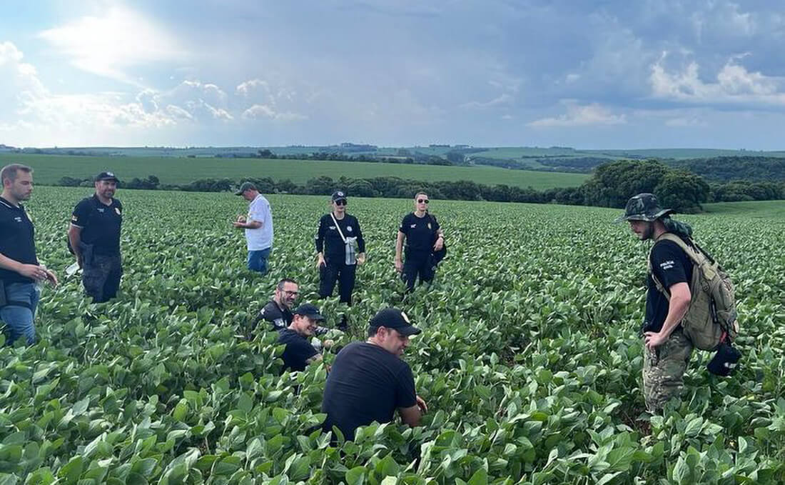 Capa Homem sequestrado em Santo Ângelo é encontrado morto em lavoura de soja