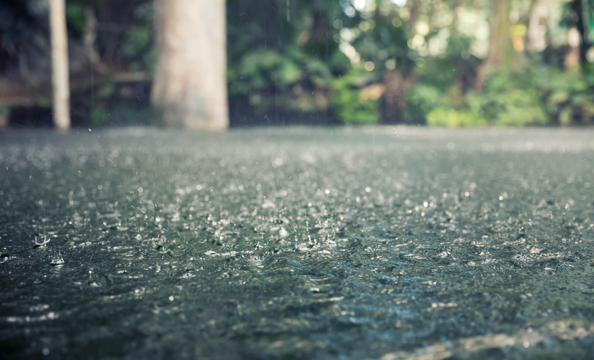 Capa Chuva retorna neste início de semana com volumes elevados no Noroeste e Norte do Estado