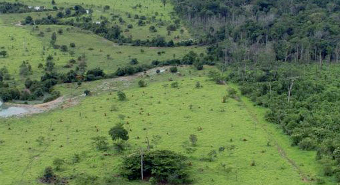 Capa Termina nesta sexta entrega da Declaração do Imposto Territorial Rural