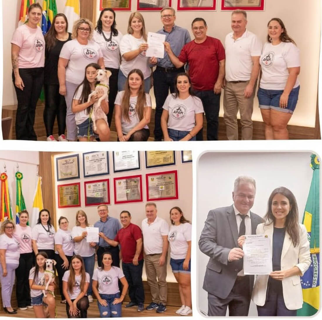 Capa Pinhal conquista recurso que será revertido à APAPI