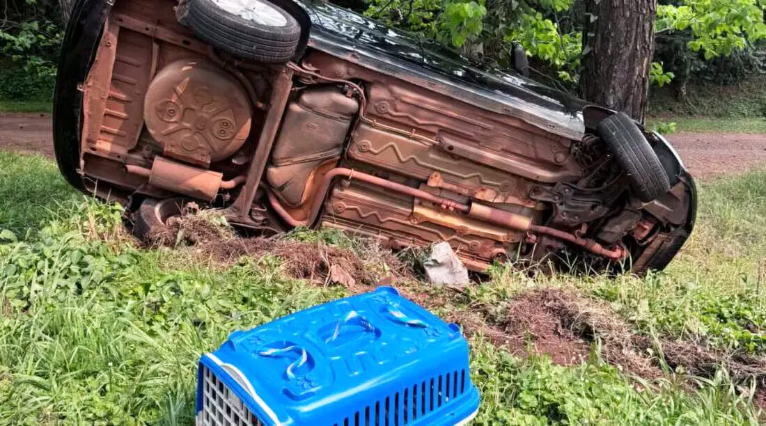 Capa Motorista perde controle e capota carro após colisão com ônibus em Panambi