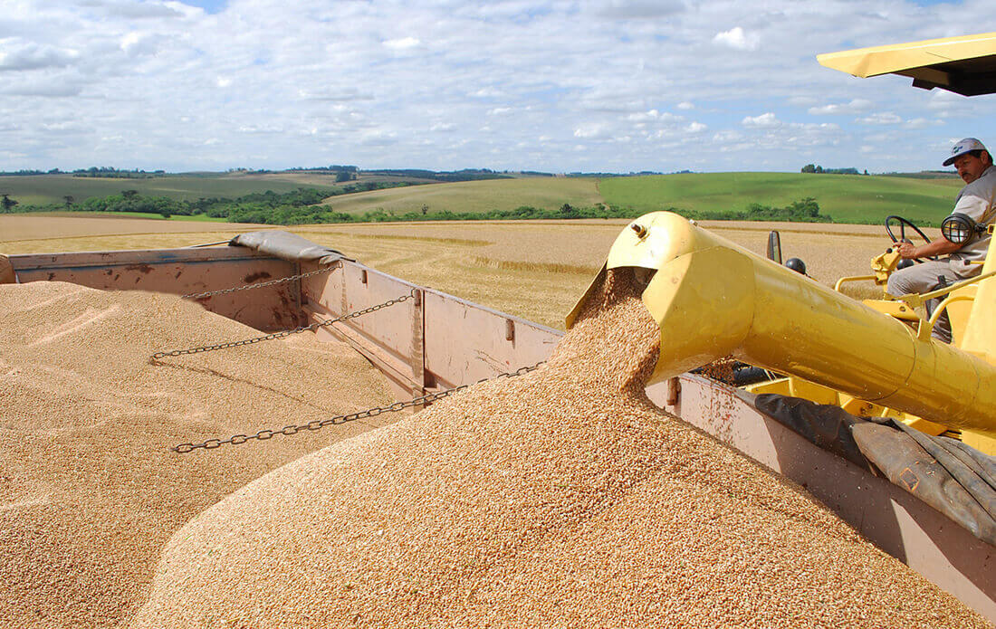 Capa Governo anuncia Plano Safra com R$ 516 bilhões para médios e grandes produtores