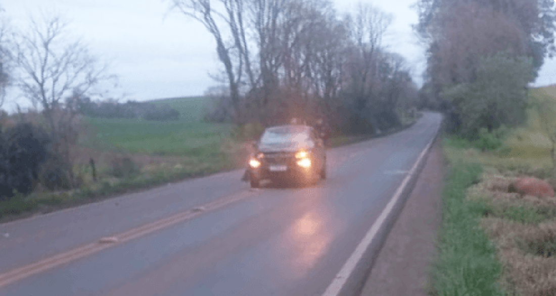 Capa Carro colide com cavalo na ERS-324 em Três Palmeiras
