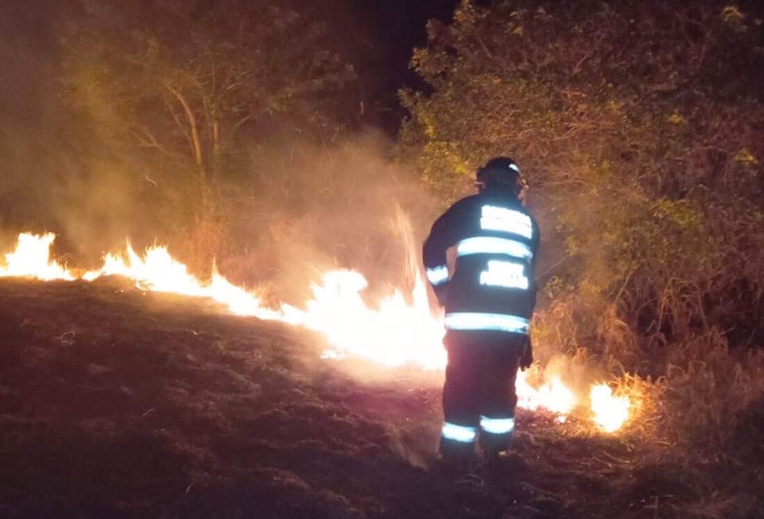 Capa Incêndio em vegetação mobilizou os Bombeiros Voluntários em Tenente Portela