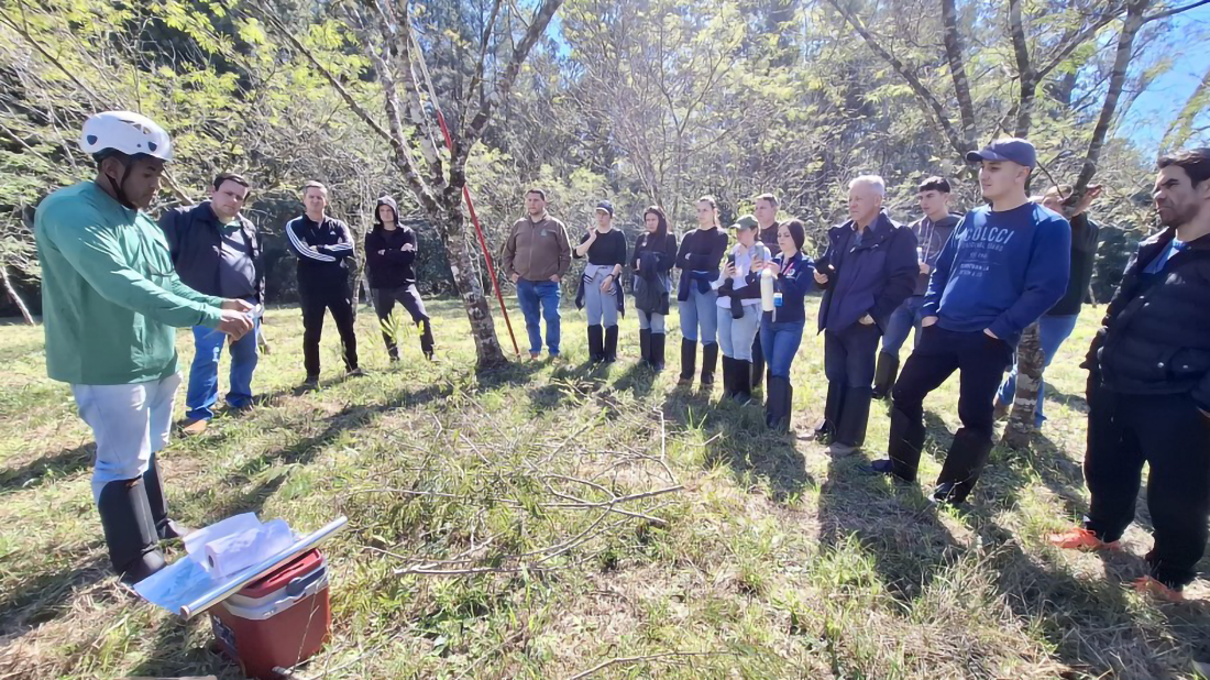 Capa Pesquisadores treinam resgate de DNA e transplante de plantas nativas para reflorestar áreas afetadas pelas enchentes