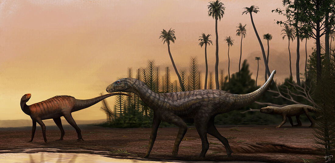 Capa Descoberto no RS um dos mais antigos precursores dos dinossauros