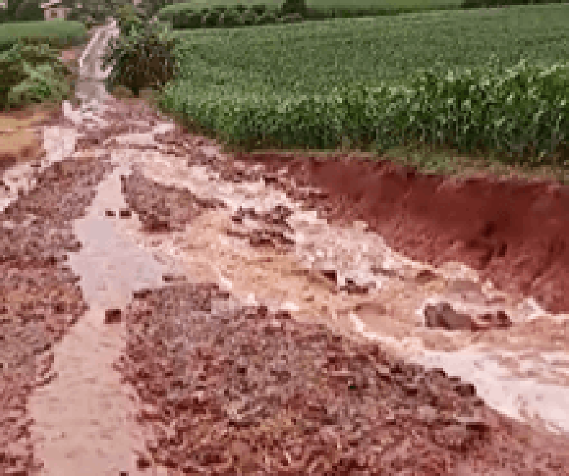 Capa Temporal causa alagamentos e danos em estradas rurais de Ronda Alta