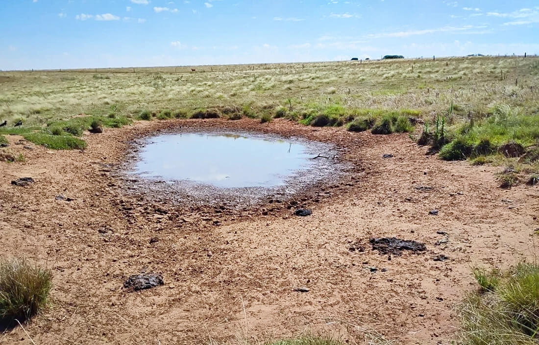 Capa Estiagem provoca maiores perdas agrícolas da história no Rio Grande do Sul