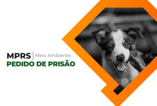 Capa Justiça decreta prisão de homem que matou cachorro afogado em Erval Seco