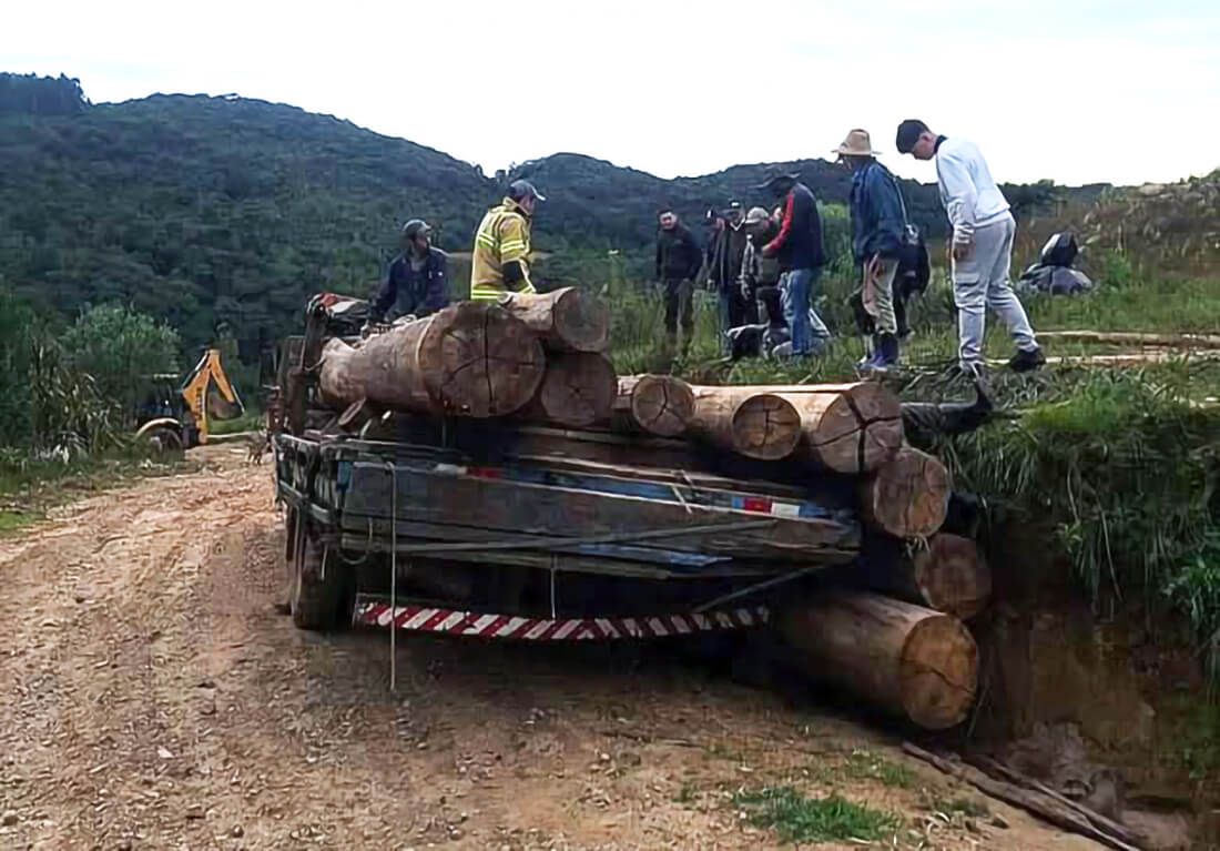 Capa Trabalhador morre e outro fica ferido após queda de carga de madeira em Fontoura Xavier