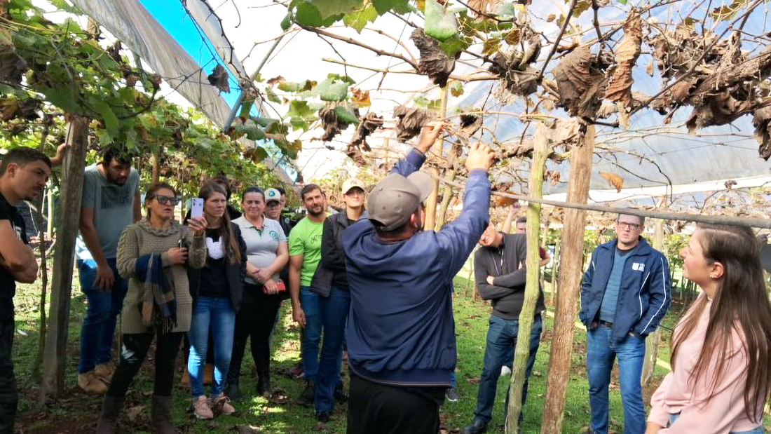 Capa Alunos da URI realizam aula prática na Agroindústria Camargo Uvas e Vinhos