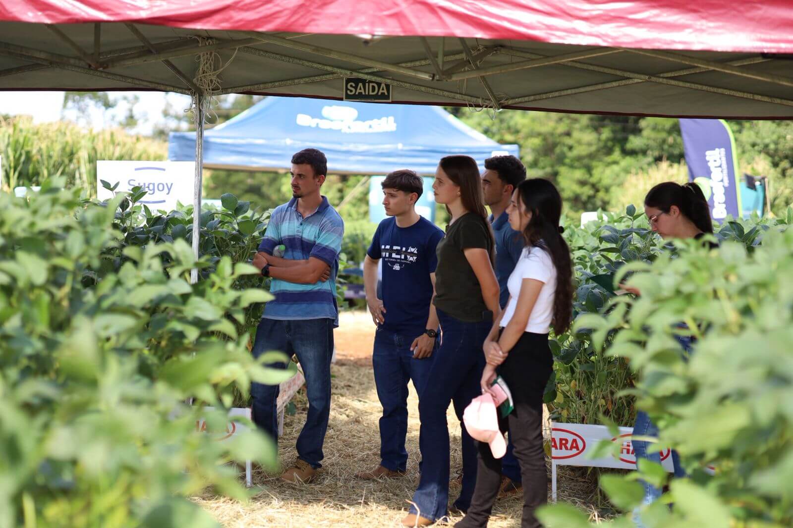 Capa AgroConecta 2026 inicia com foco em tecnologia e manejo da silagem de milho